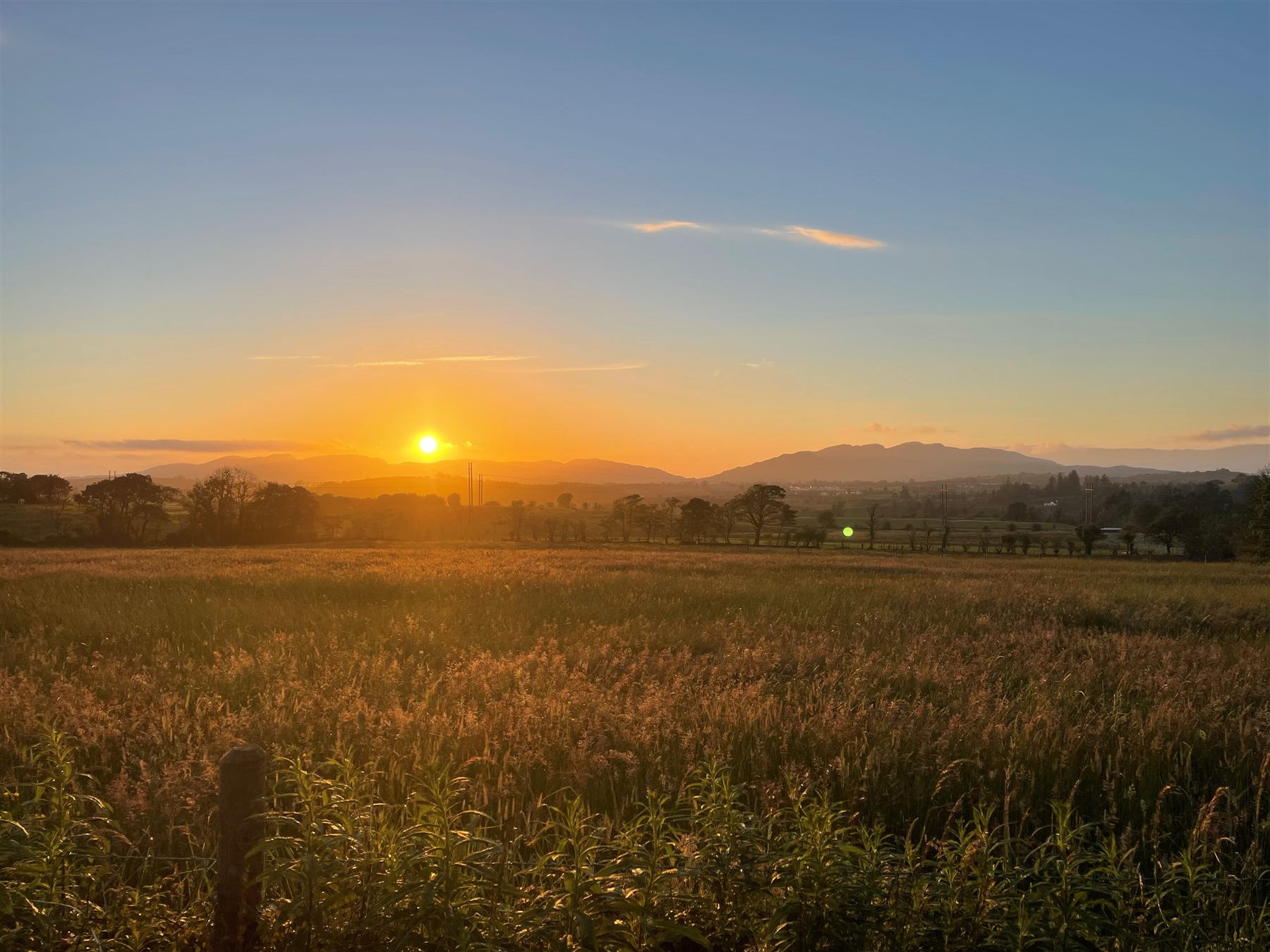 Slíglas farmland