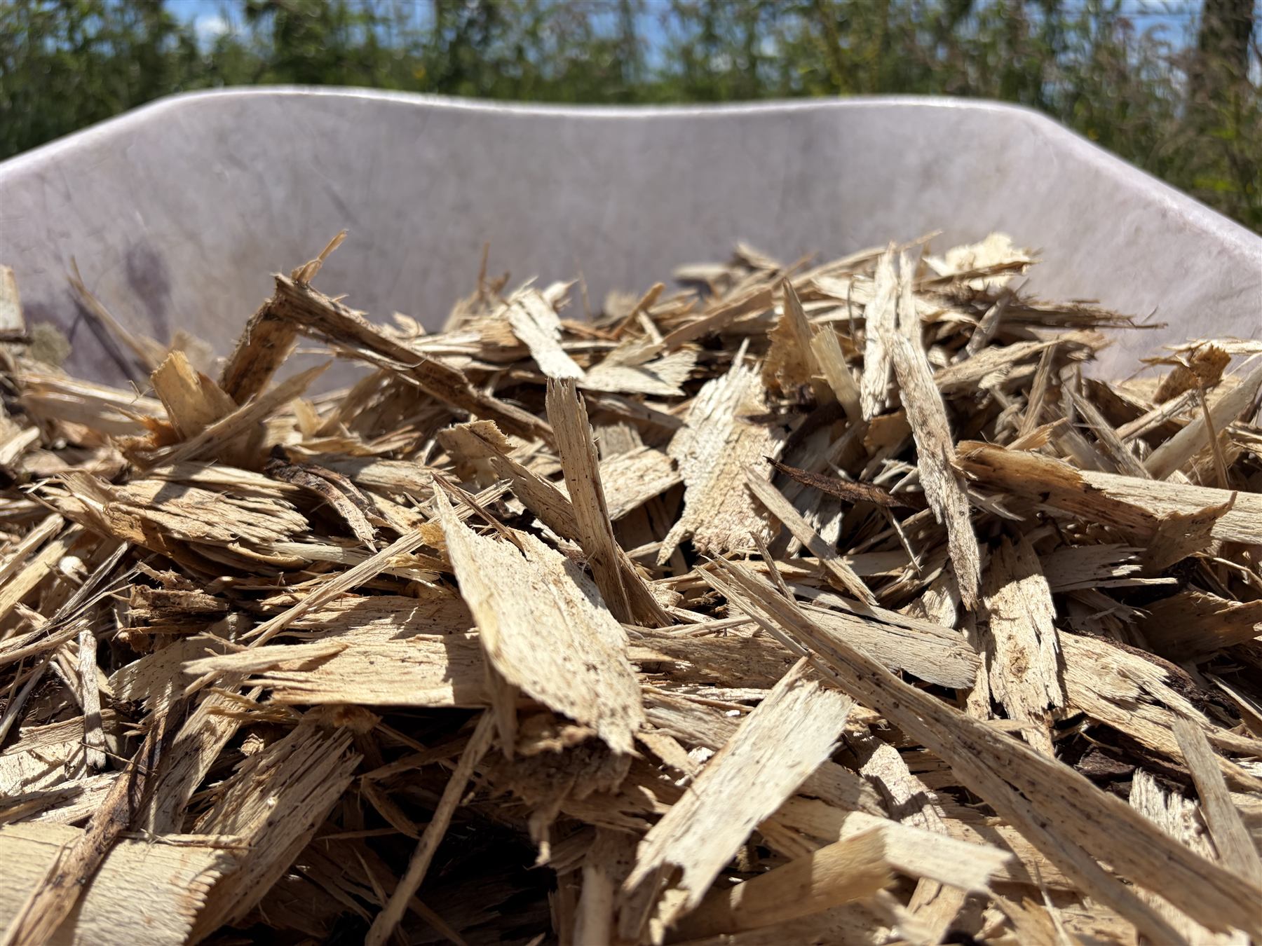 Slíglas woodchip feedstock